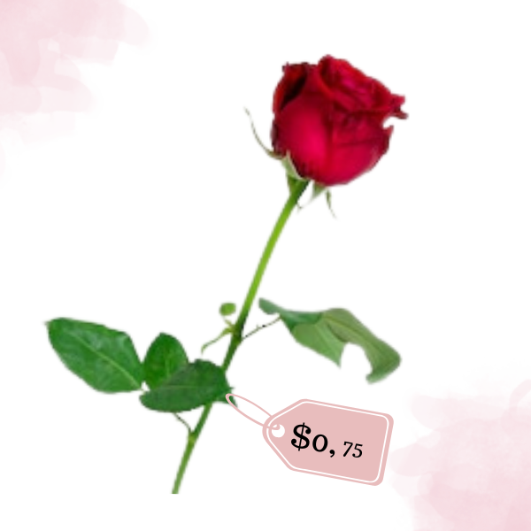 mom2